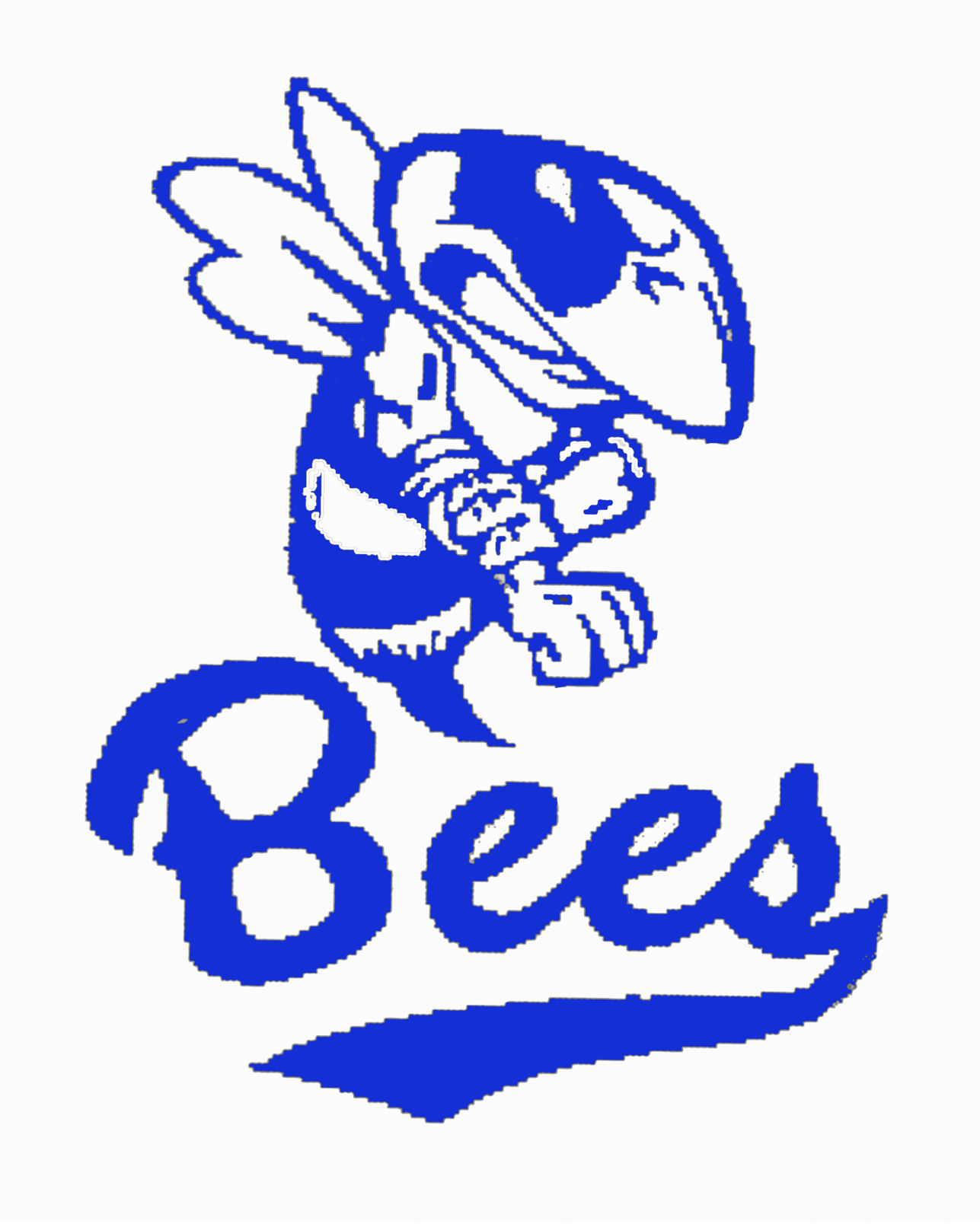 Bees - Bloomfield High School